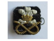Great Britain WWII North Staffordshire Regiment (Prince of Wales') Collar Badge