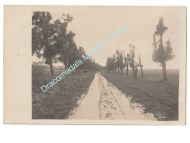 Germany WWI Photo 2nd Field Artillery Regiment, 7th Section, 4th Gun, NCOs, Soldiers