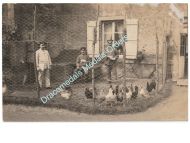Germany WWI Photo German Soldiers Tending to Chickens