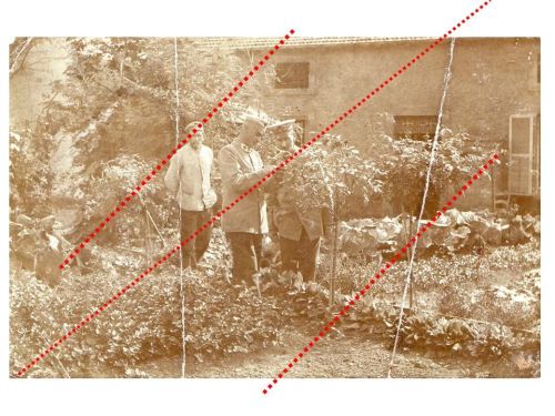 Germany WWI Photo German Soldier Medic with Red Cross Collar Insignia in Hospital Garden
