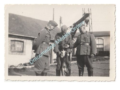 Germany WWII Photo Wehrmacht Soldiers with Dog